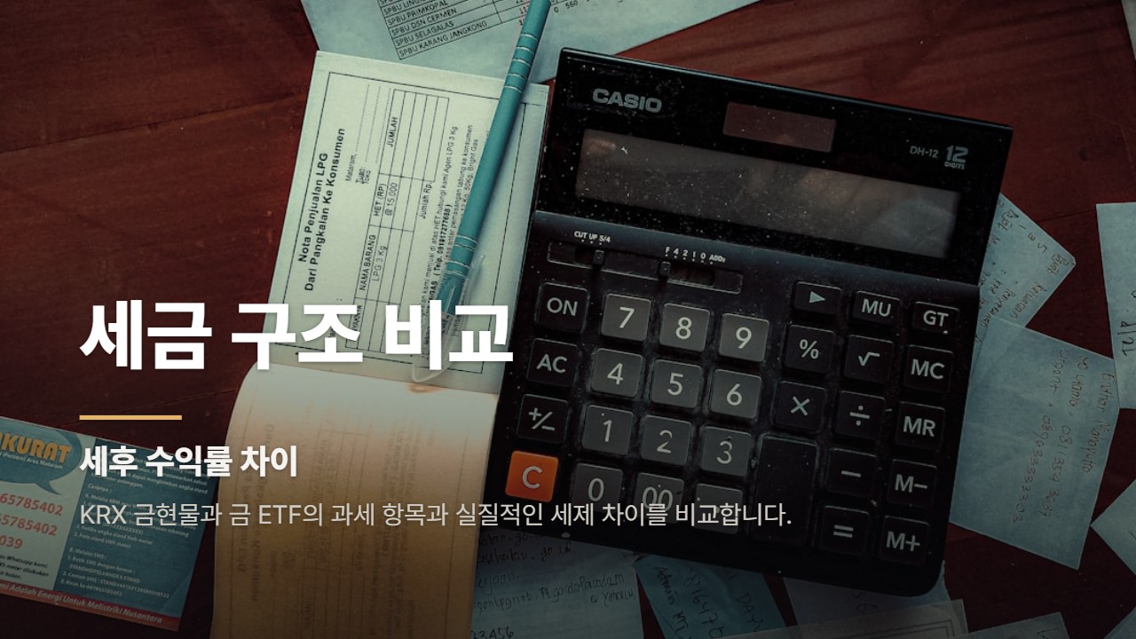 세금 구조 비교